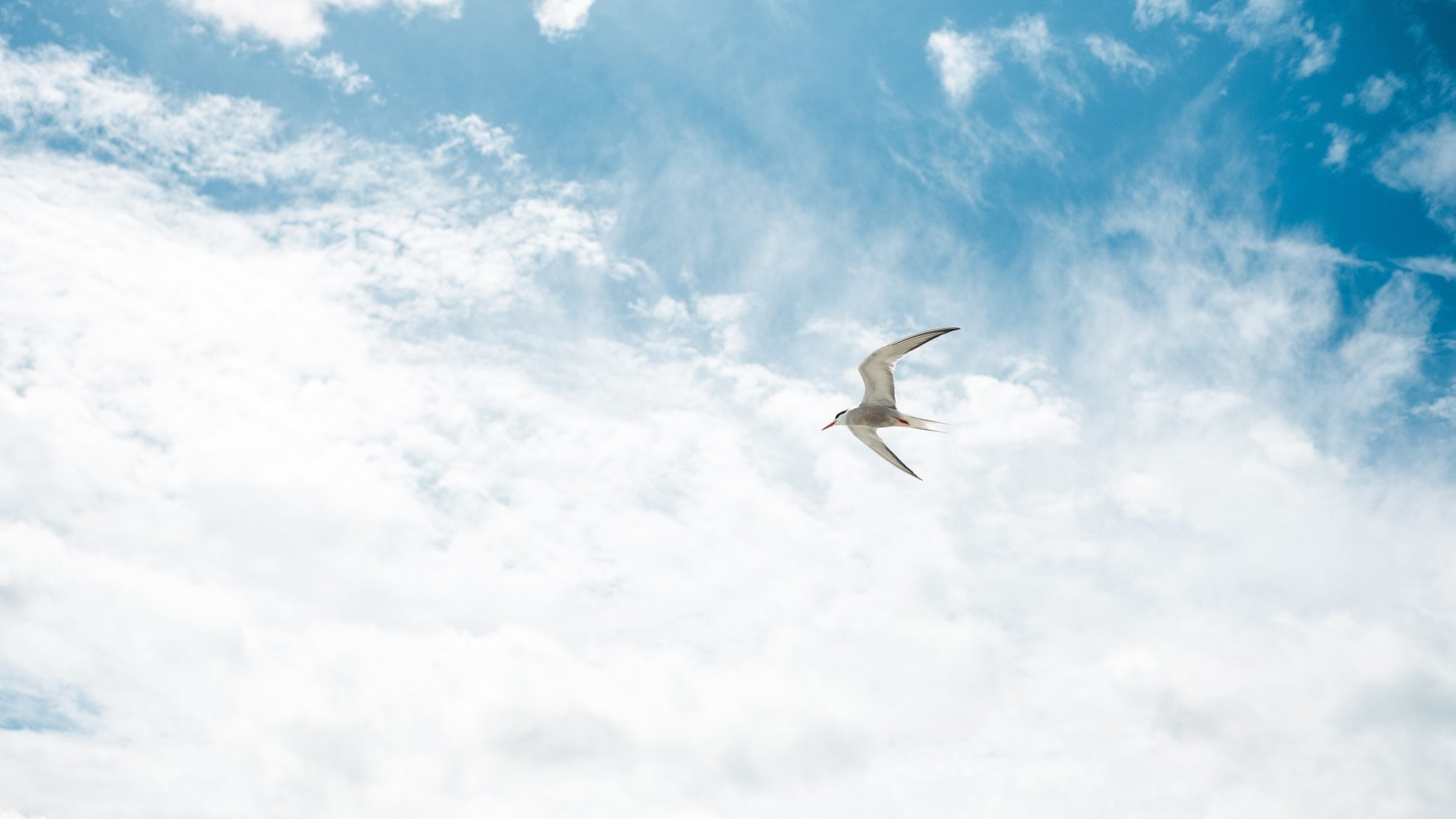 Jeanne Hangover Miles TEMPO 180721 00697