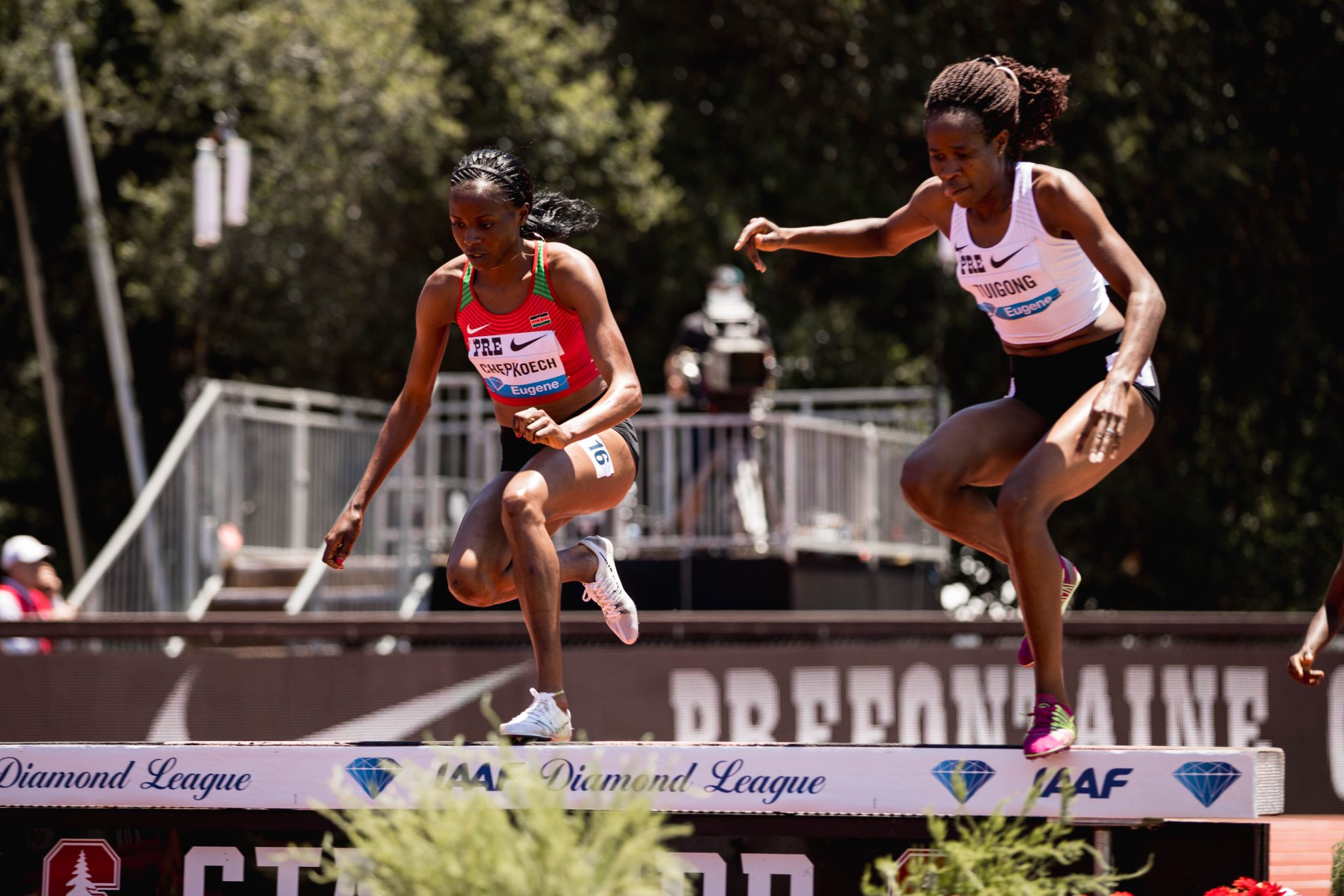2019 PreClassic 6