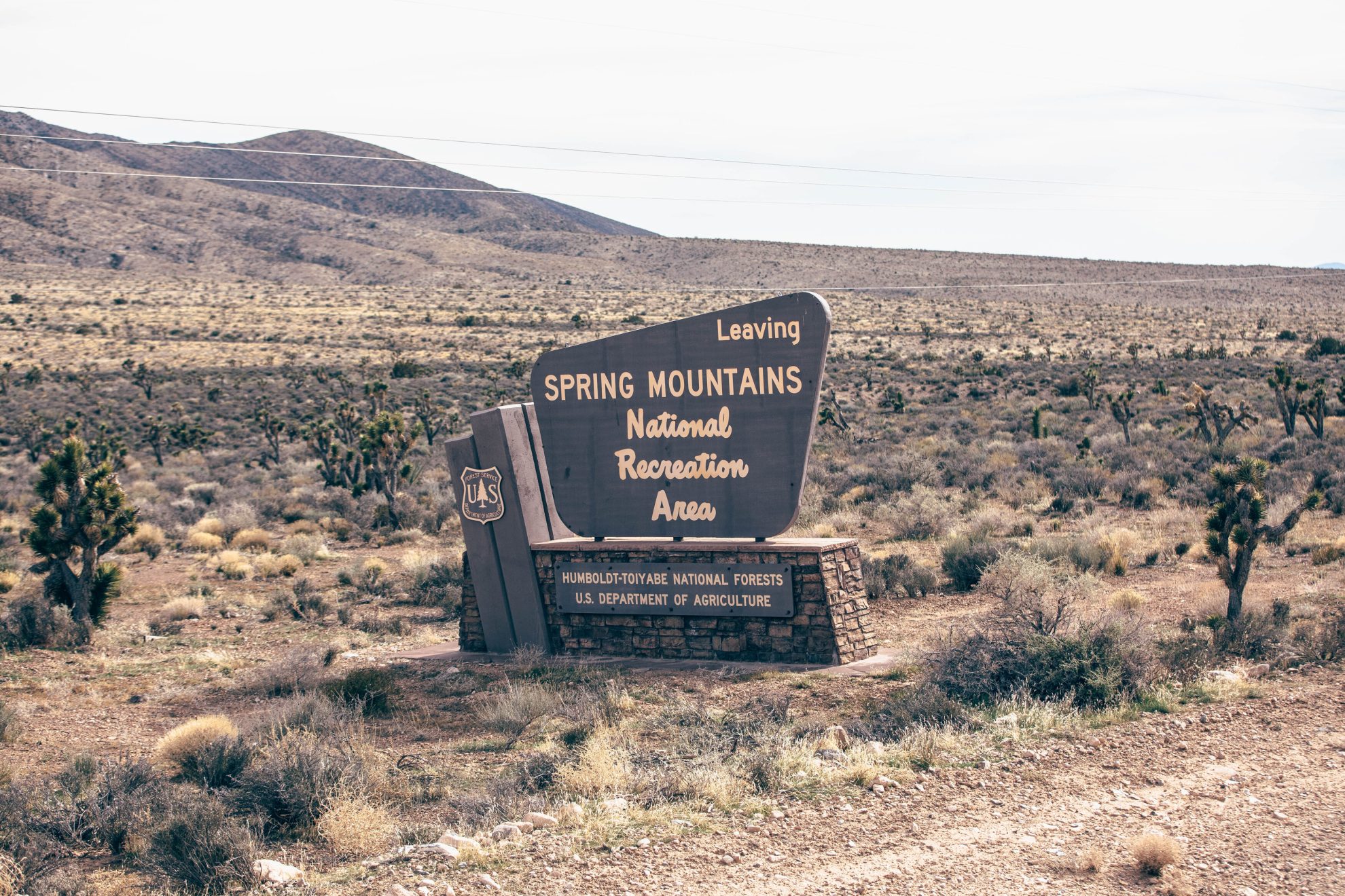 TempoJournal TSP 18 177