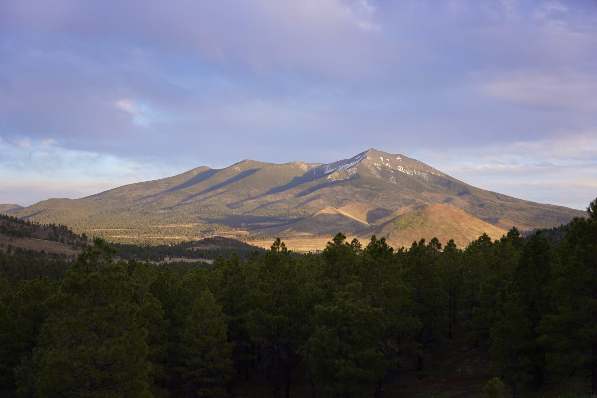 tempo-220713-mcneill-flagstaff-02