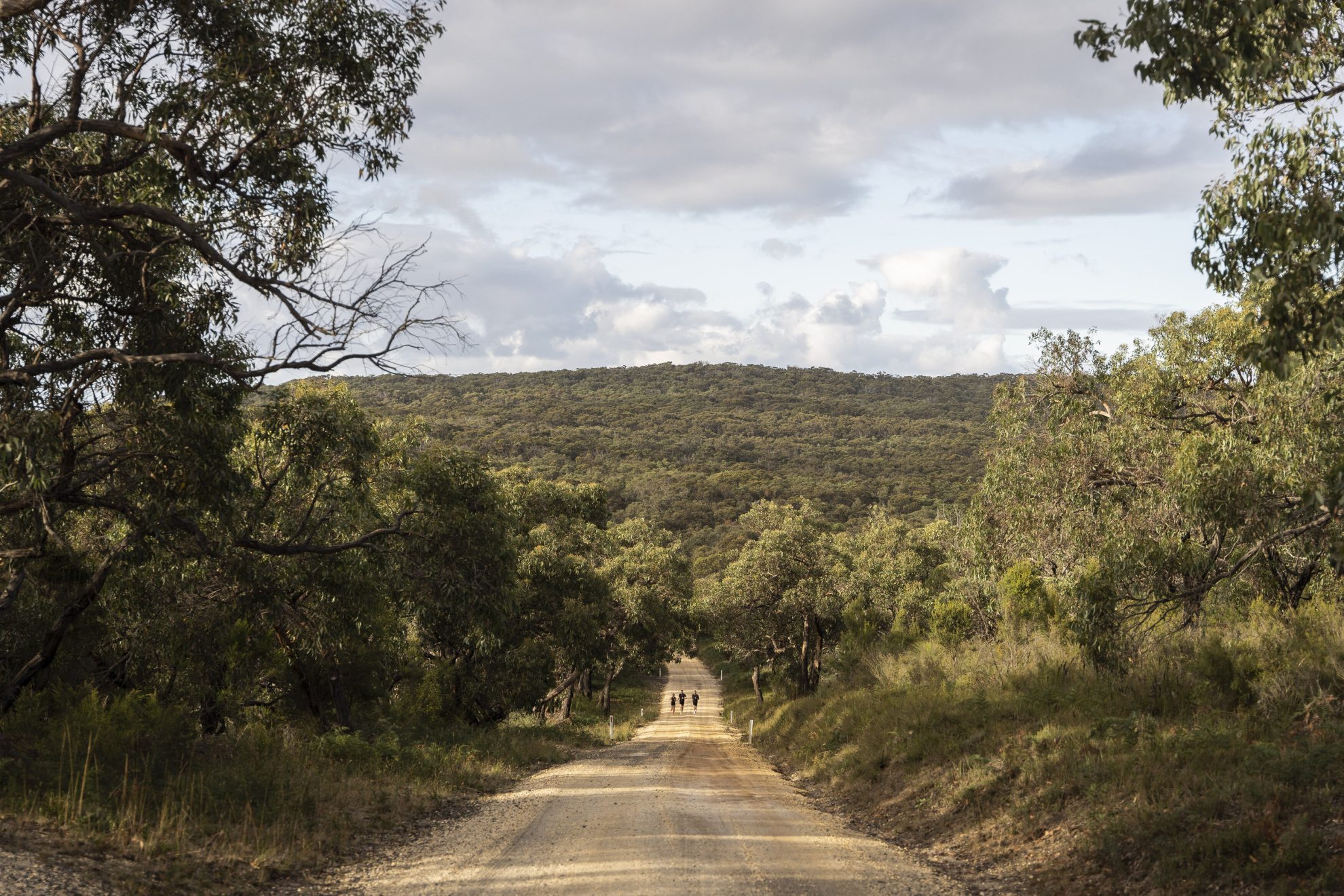 Tempo-230418-Pashley-04