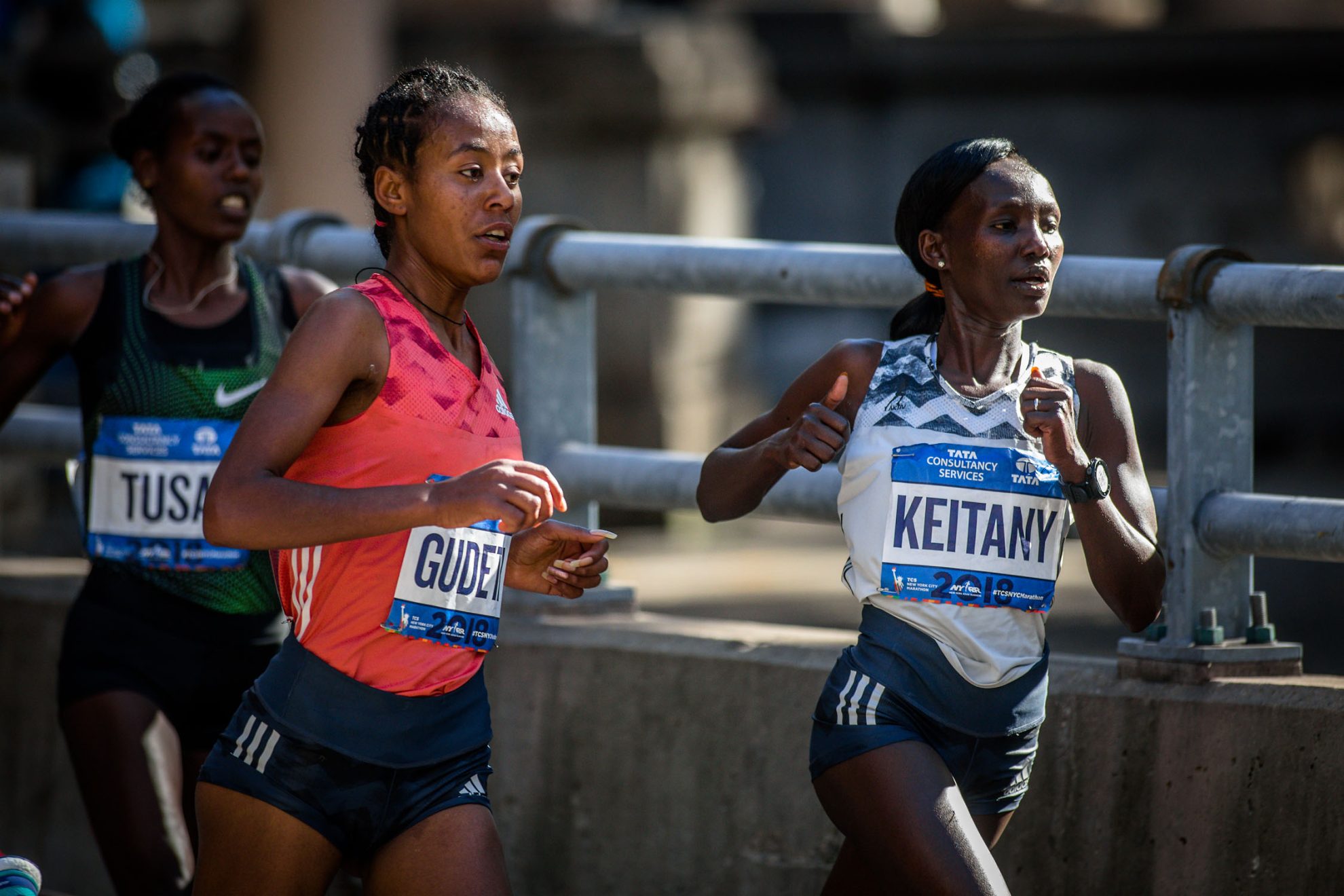 coach hudson 0396 web