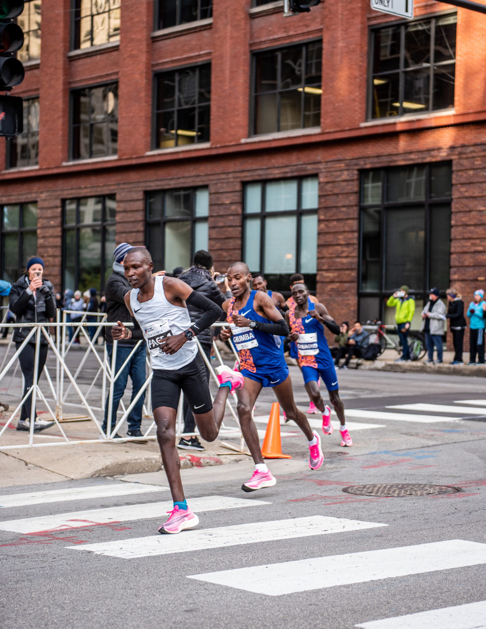 WLF 2437