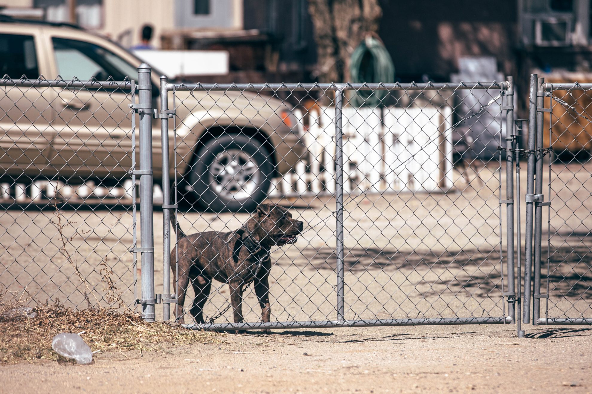 TempoJournal TSP 18 94