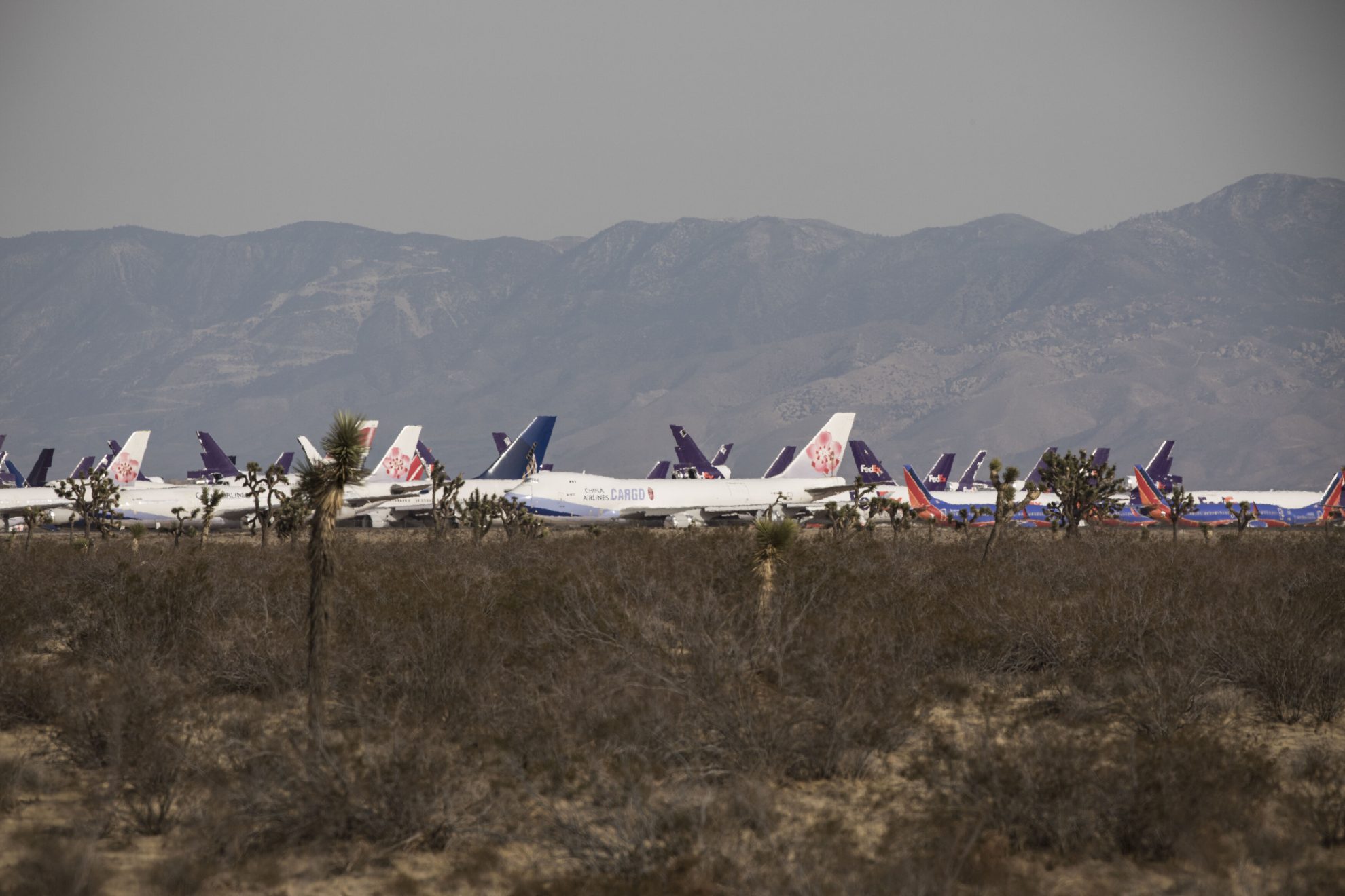 boneyard