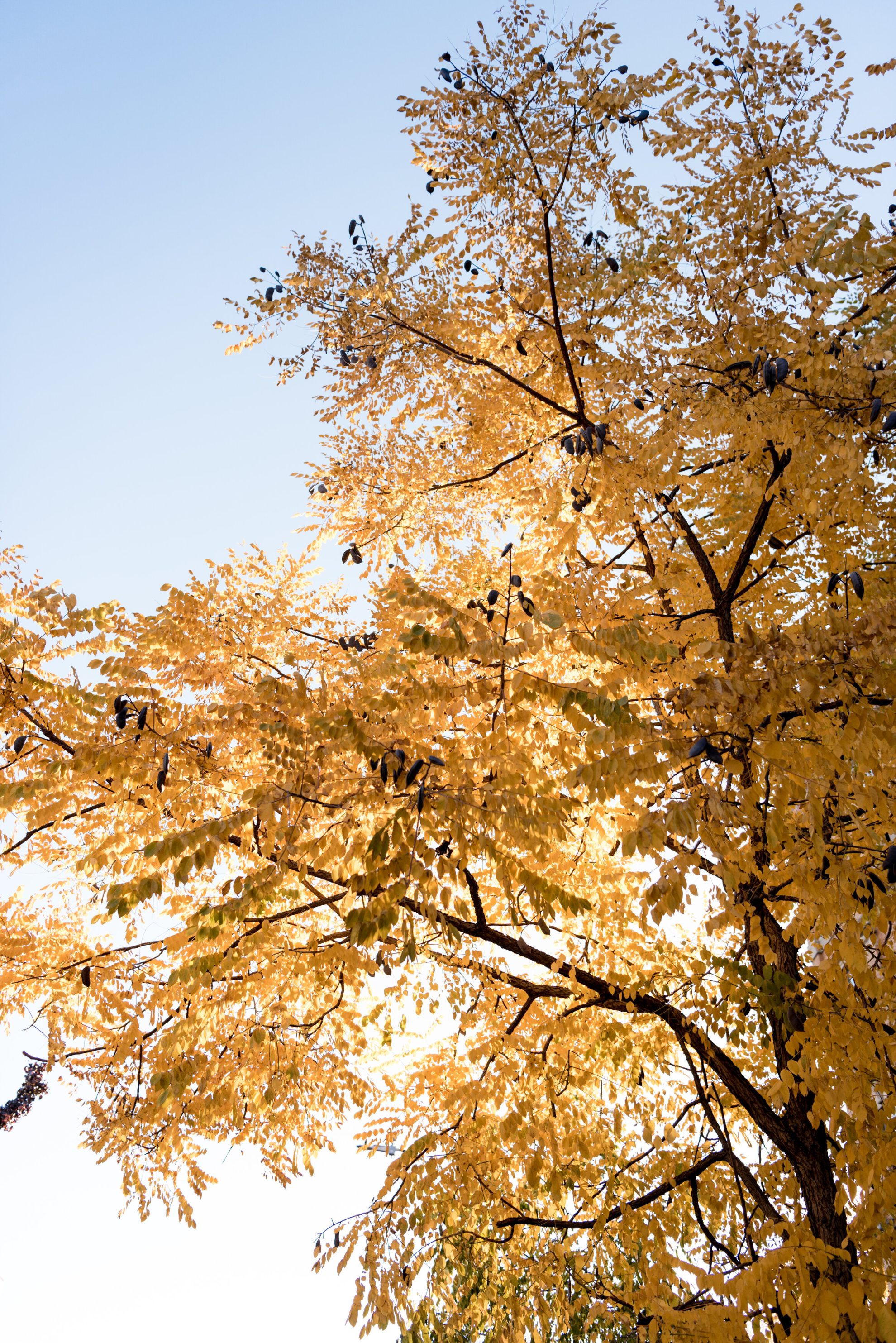 NYC Mile 21 selects V2 jj -6