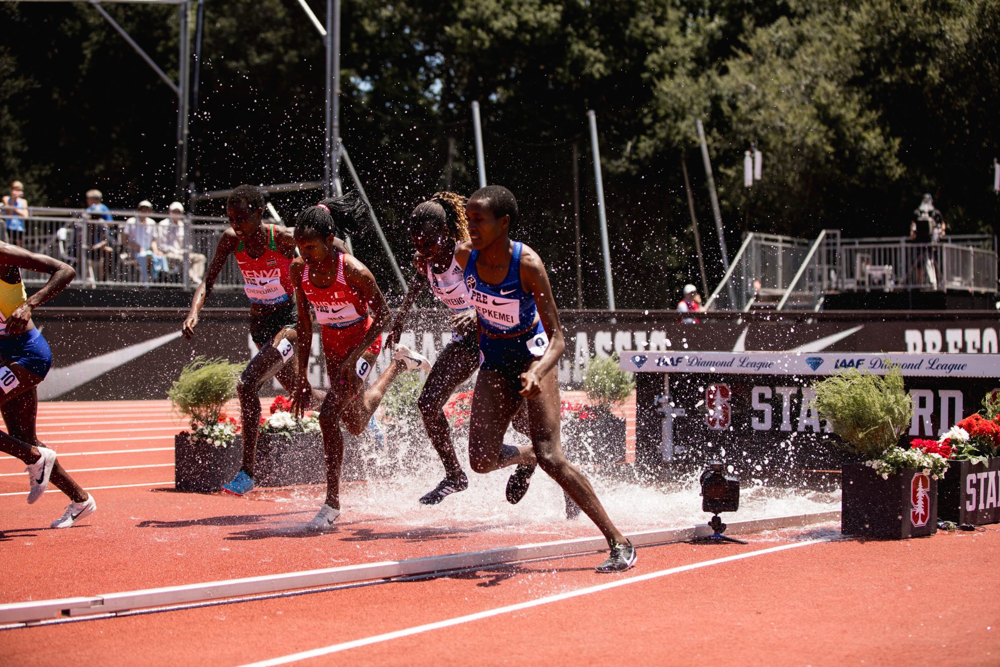 2019 PreClassic 9