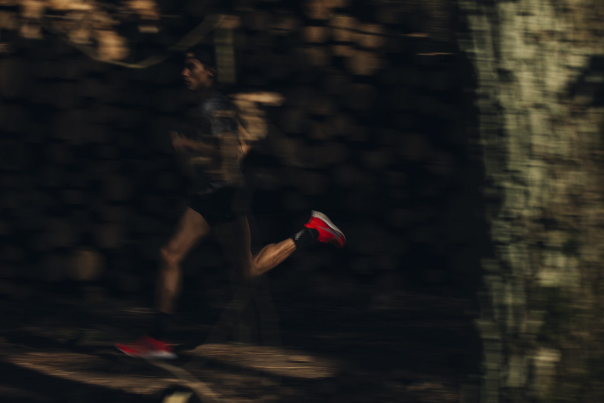 FEB19 TEMPO-DANIEL-8897