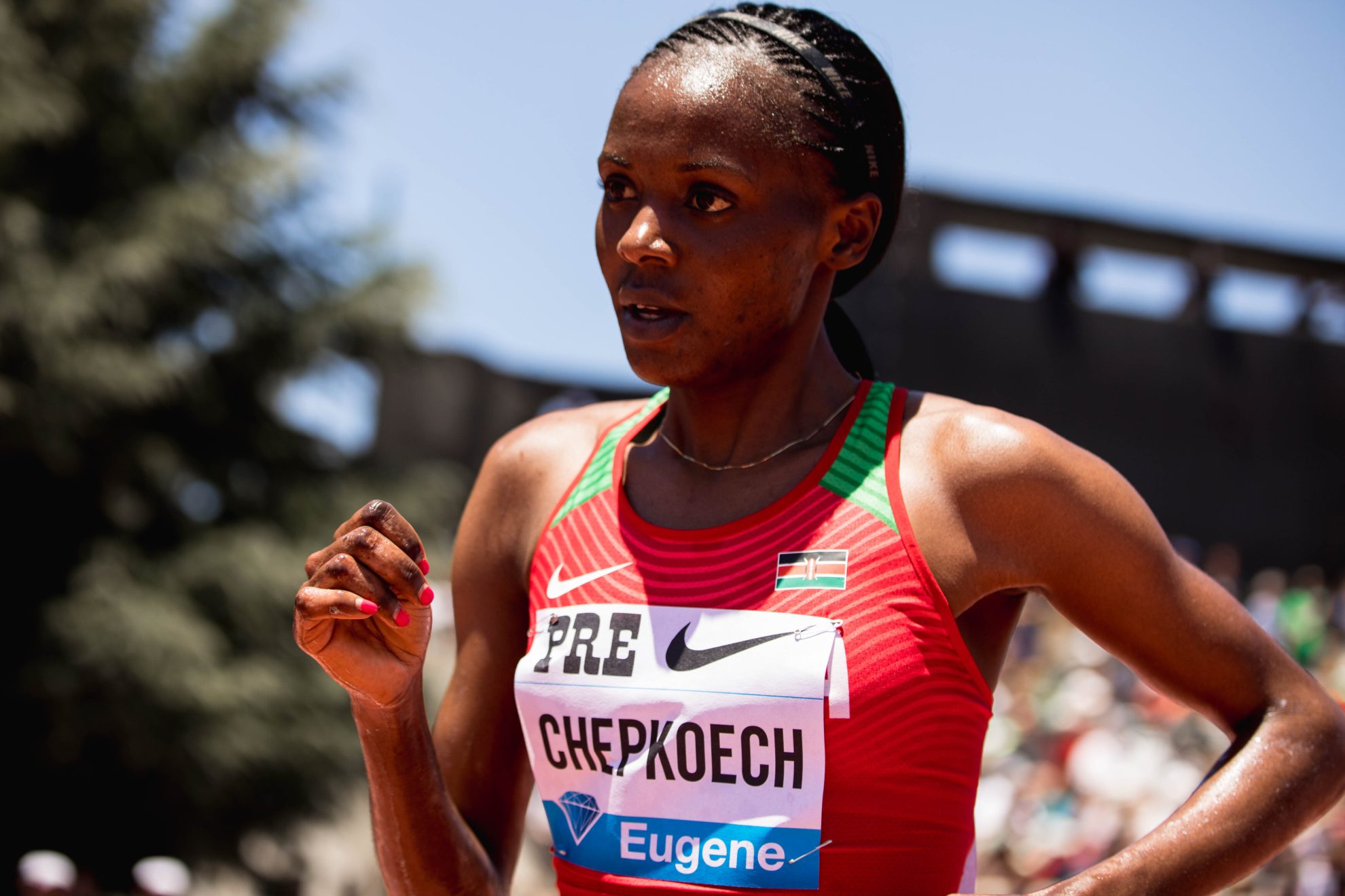 2019 PreClassic 33