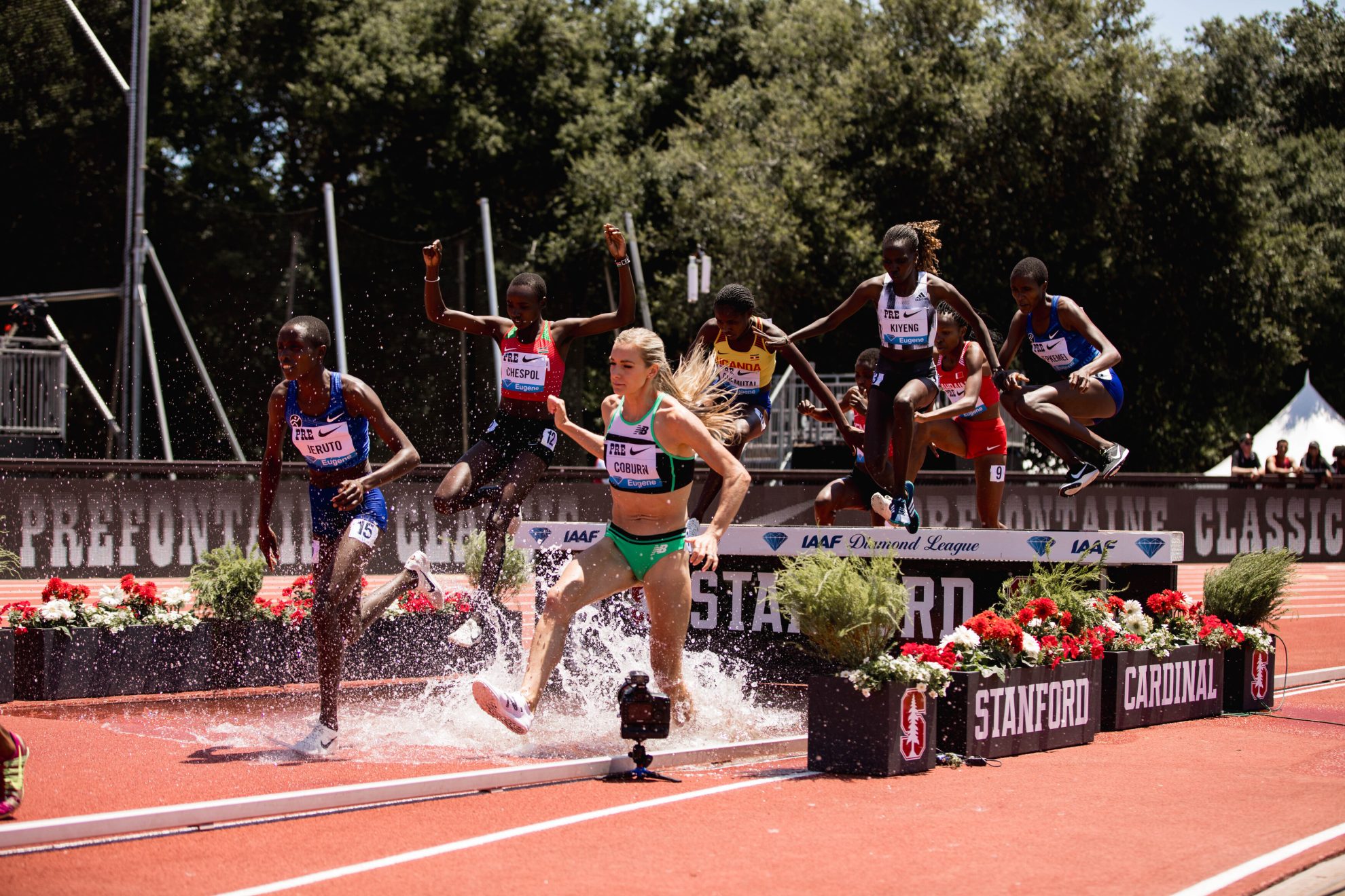 2019 PreClassic 8