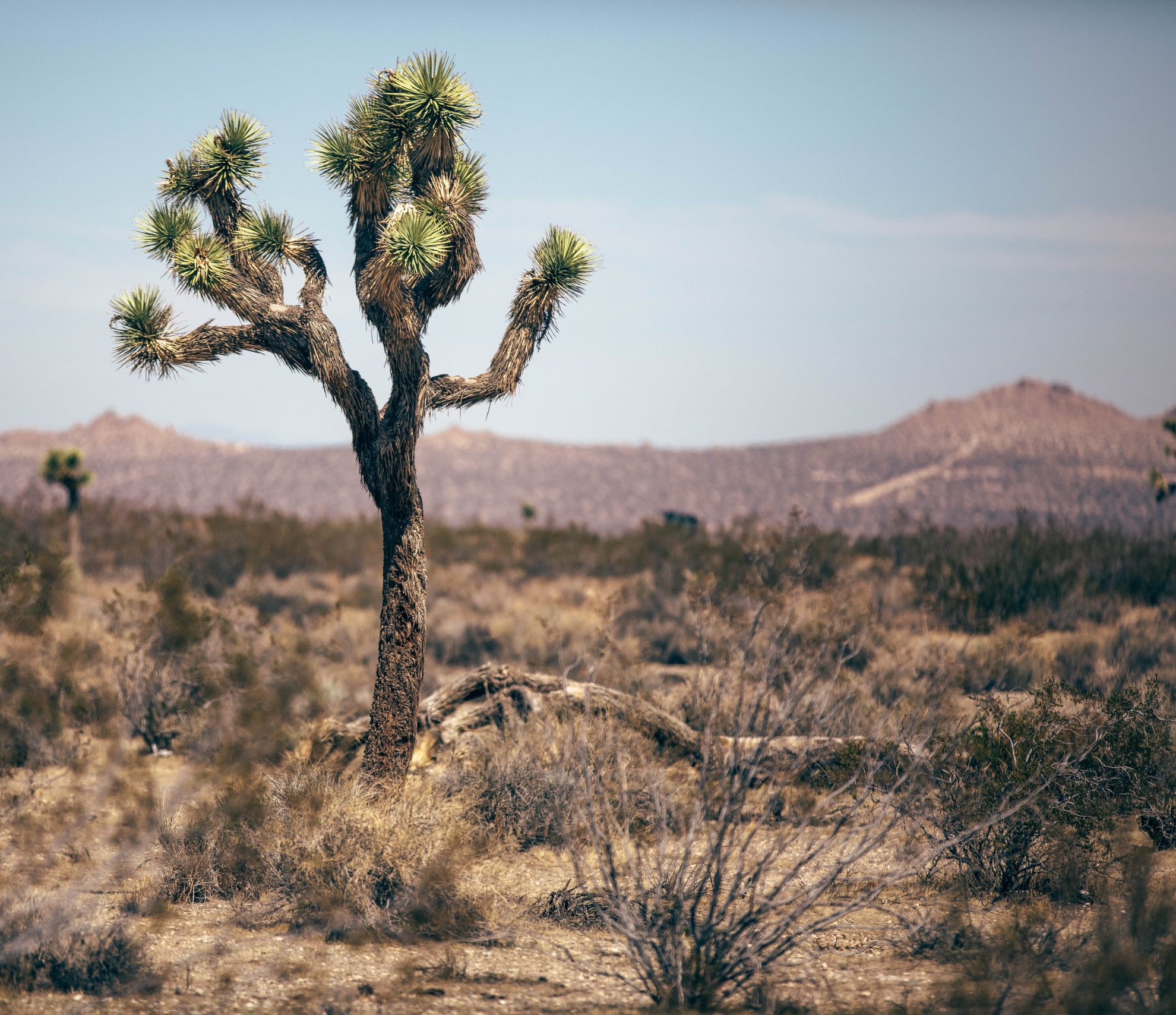 TempoJournal TSP 18 82