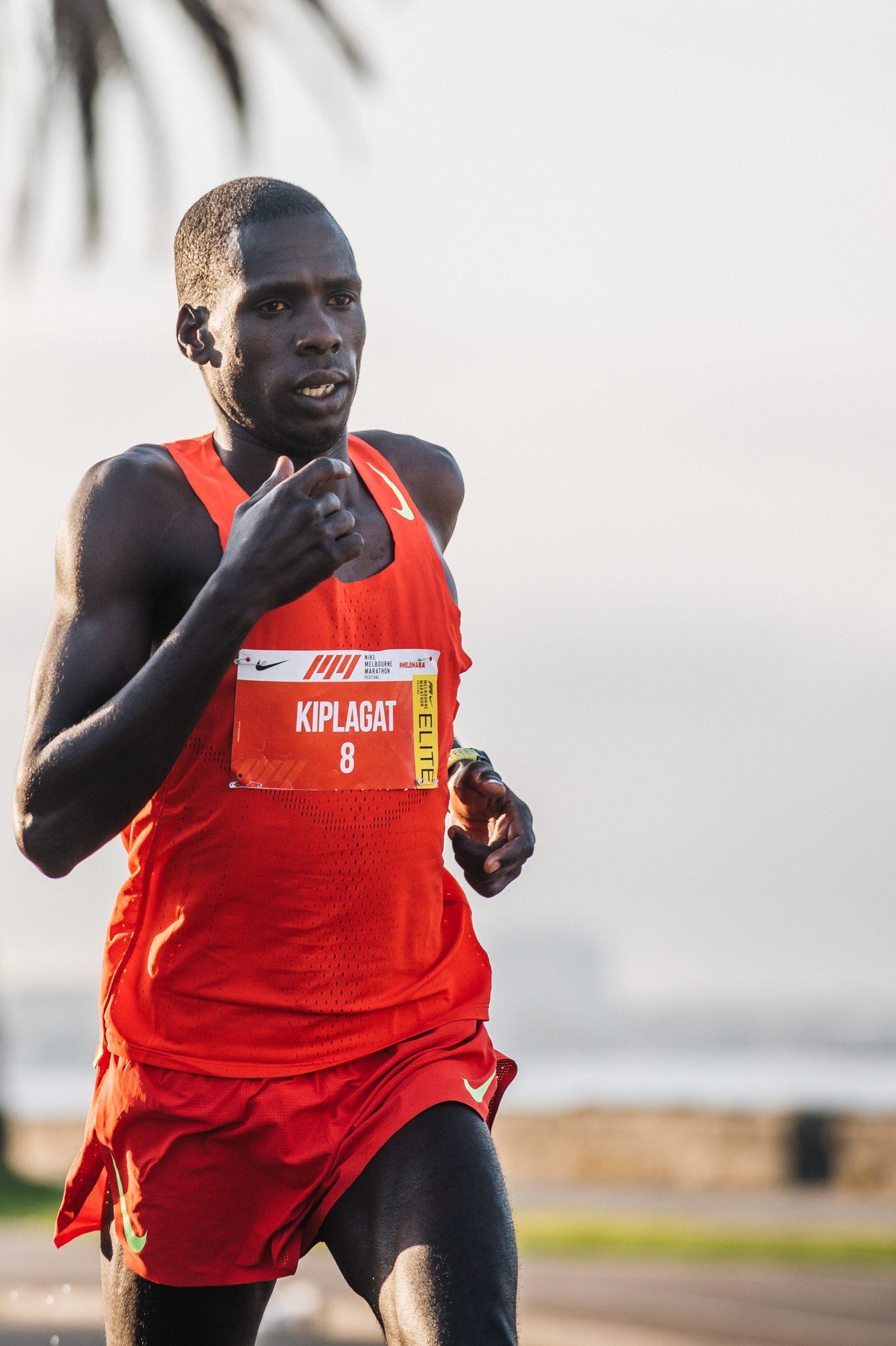 tempo-221003-melbourne-marathon-gallery-05