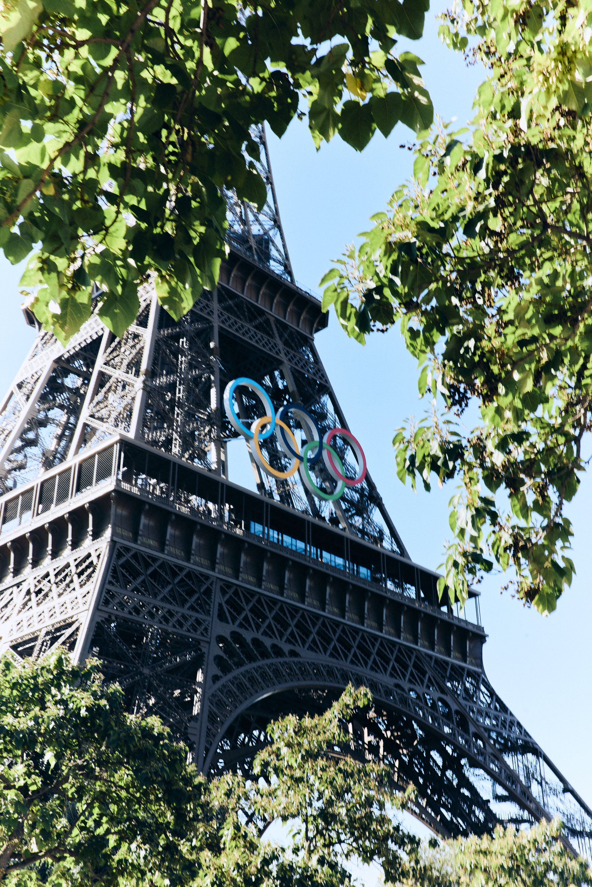 Eiffel Tower with trees