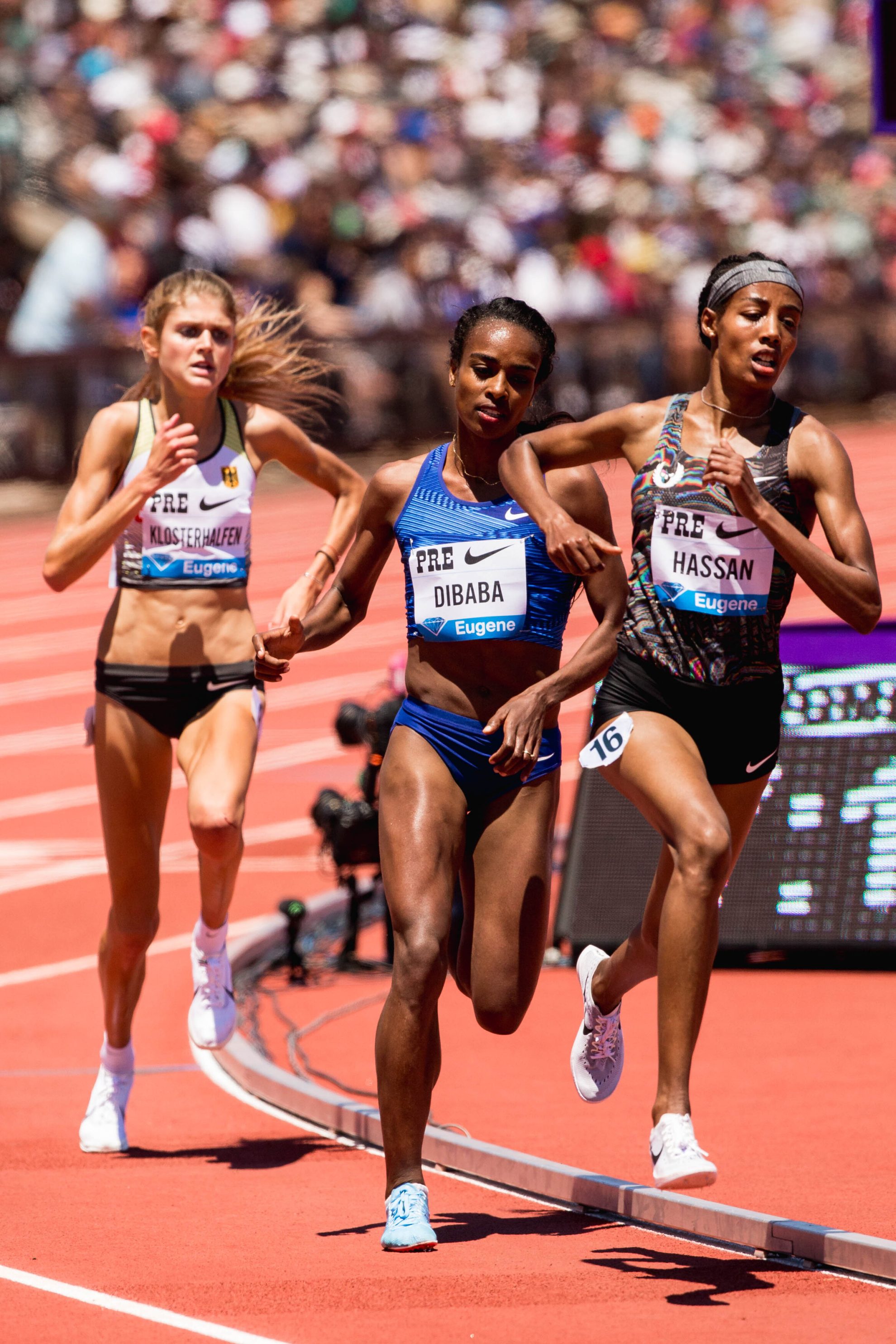2019 PreClassic 217